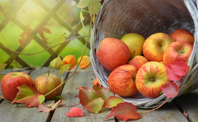 {#Apfel} {#Apfel}